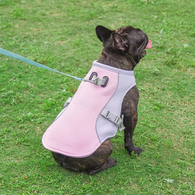 Reflective cooling vest for active dogs