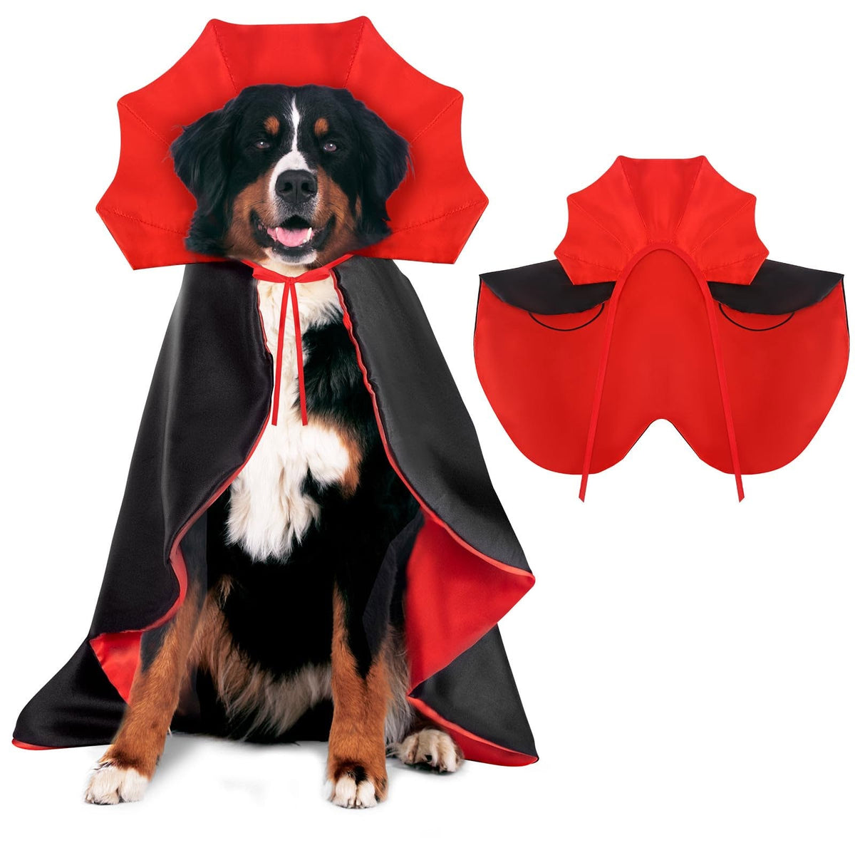 large dog wearing black and red vampire cape costume with stand-up collar