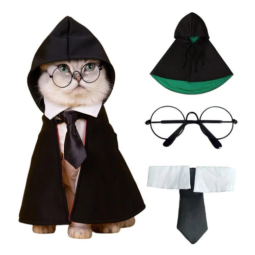 white cat wearing black hooded wizard cape, round glasses, and tie