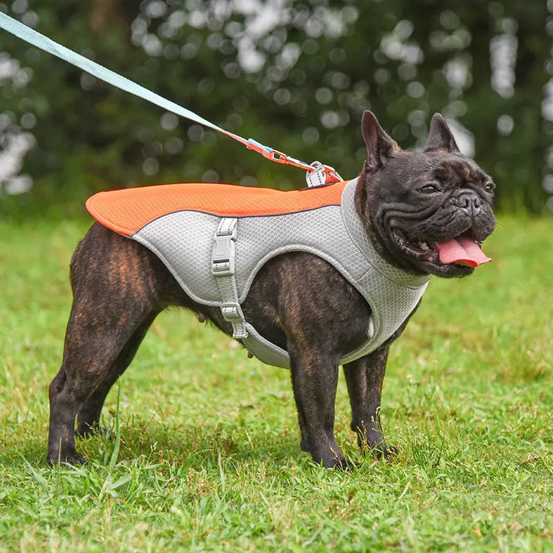 Adjustable cooling vest for dogs side view