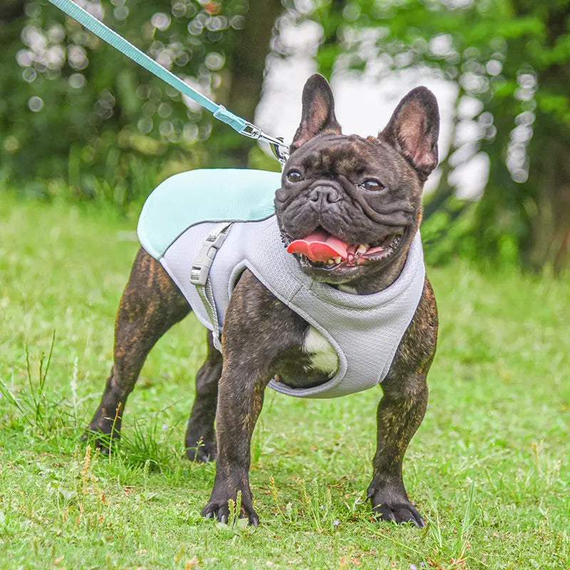 Lightweight dog cooling jacket for hot weather